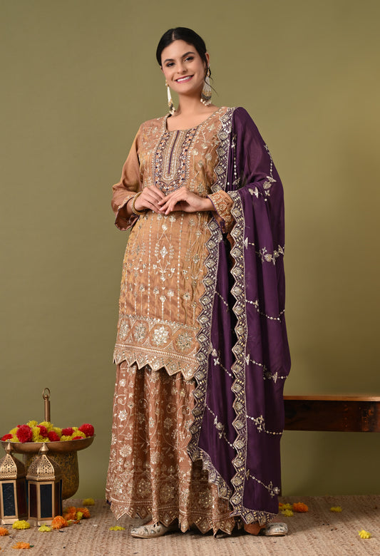 Exquisite Light Brown Lehenga Set with Excellent Zardozi and Sequence Work