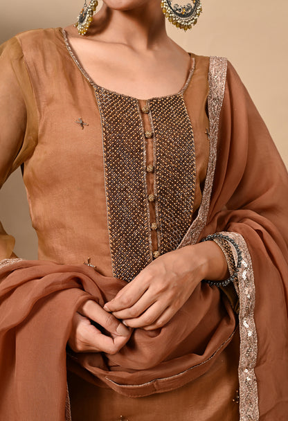 Greenish Brown Hue Kurta Set with Zardozi, Cutdana, and Pearl Work