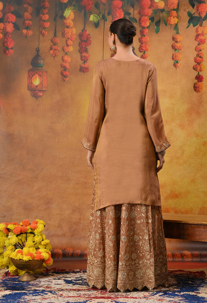 Exquisite Light Brown Lehenga Set with Excellent Zardozi and Sequence Work