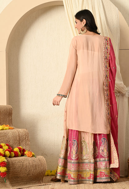 Light Pink Lehenga Set with Zardozi, Thread and Gotta Work